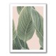 Calla Leaf