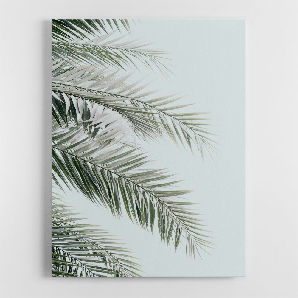 Blue Palms