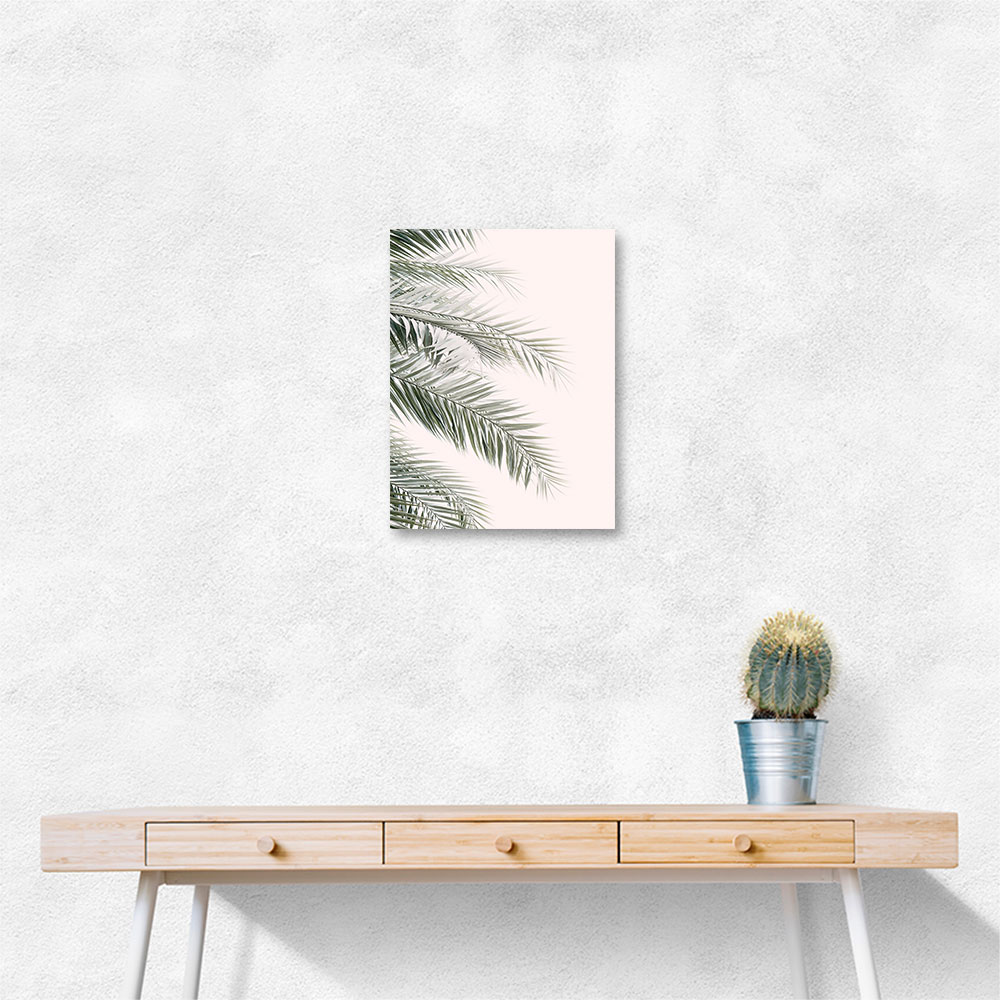 Blush Palm Leaves