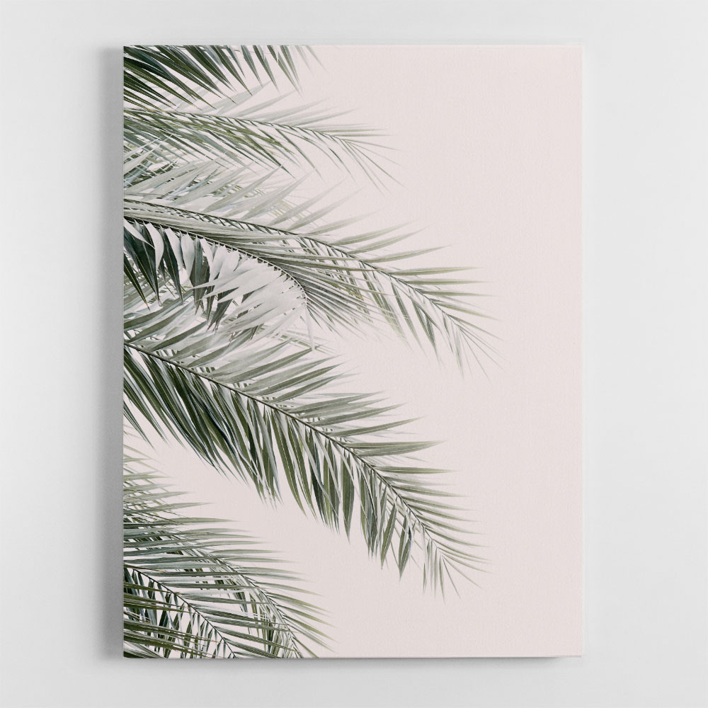 Blush Palm Leaves