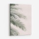 Blush Palm Leaves