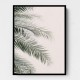 Blush Palm Leaves