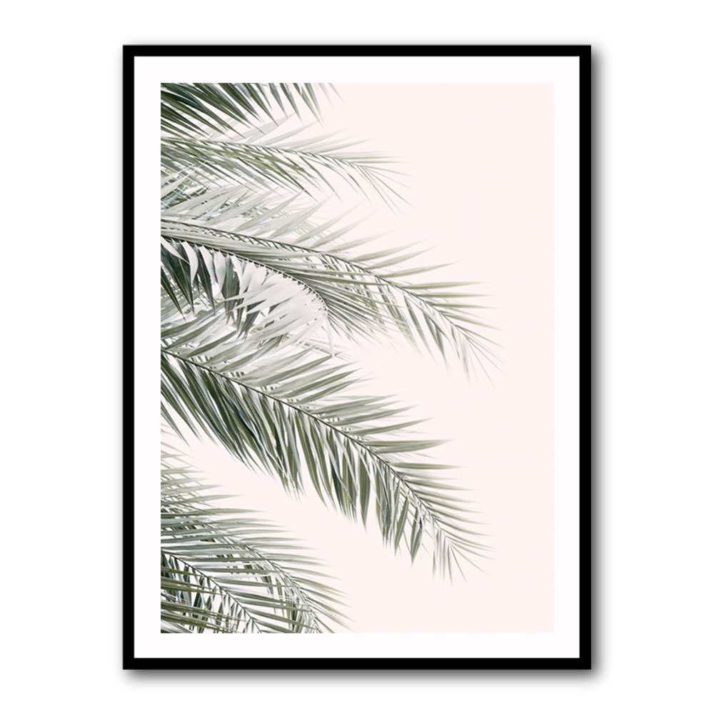 Blush Palm Leaves