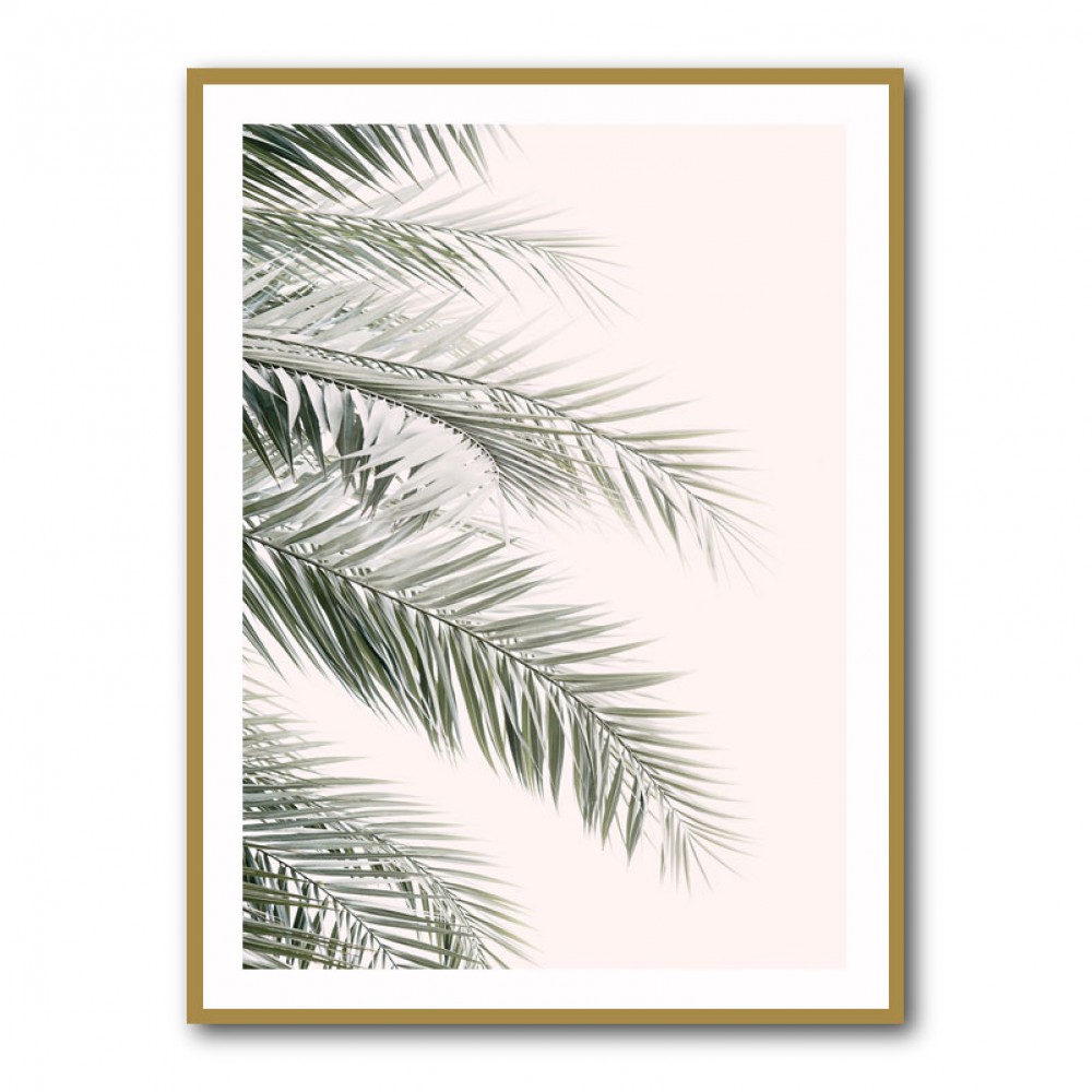 Blush Palm Leaves