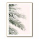 Blush Palm Leaves