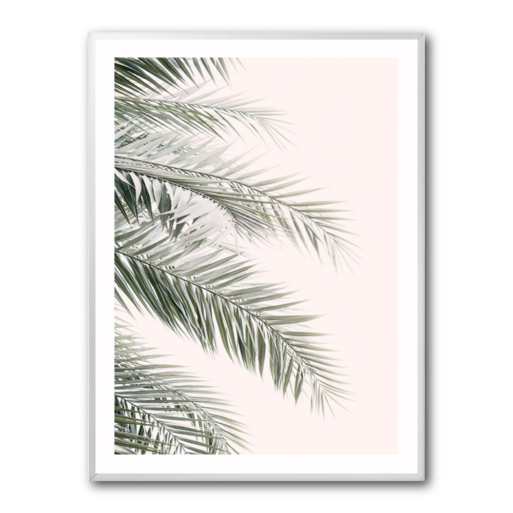 Blush Palm Leaves