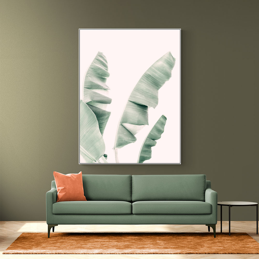 Blush Banana Leaves