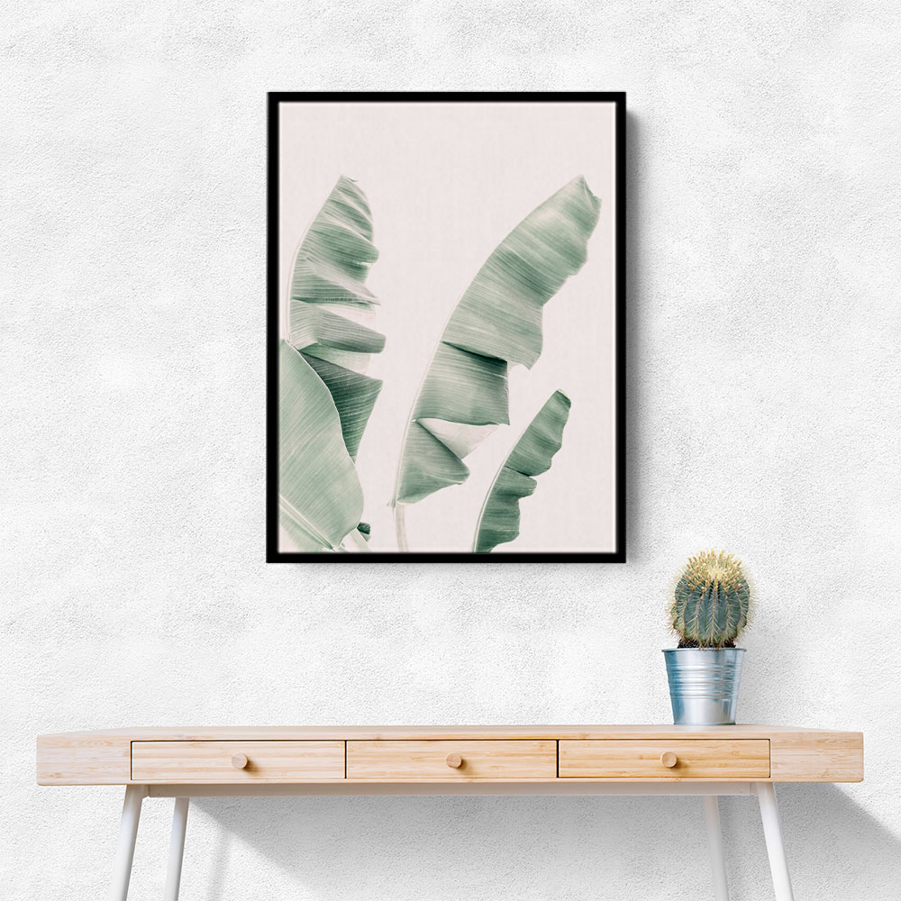 Blush Banana Leaves