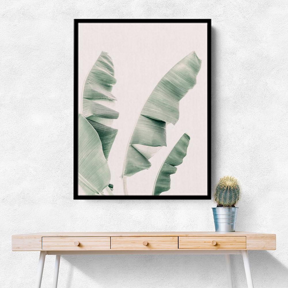 Blush Banana Leaves