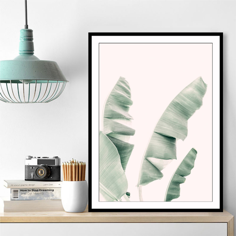 Blush Banana Leaves