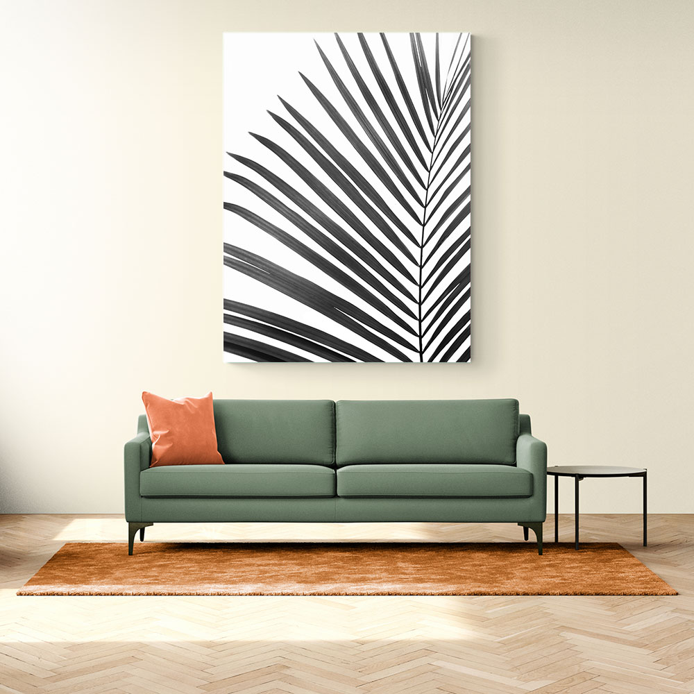 BW Palm Leaf