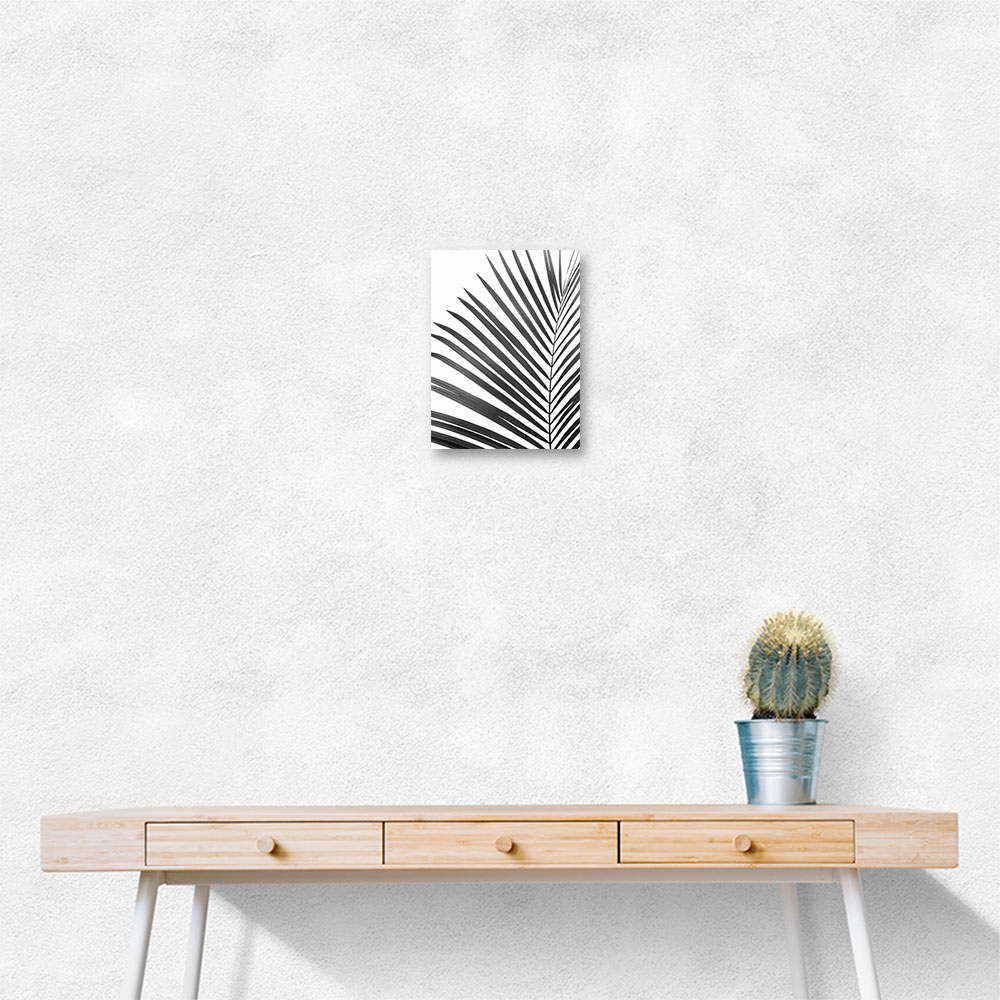 BW Palm Leaf BW Palm Leaf