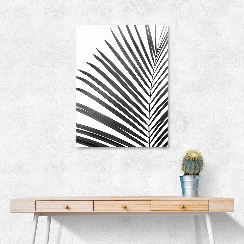 BW Palm Leaf BW Palm Leaf