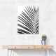 BW Palm Leaf BW Palm Leaf