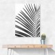 BW Palm Leaf BW Palm Leaf