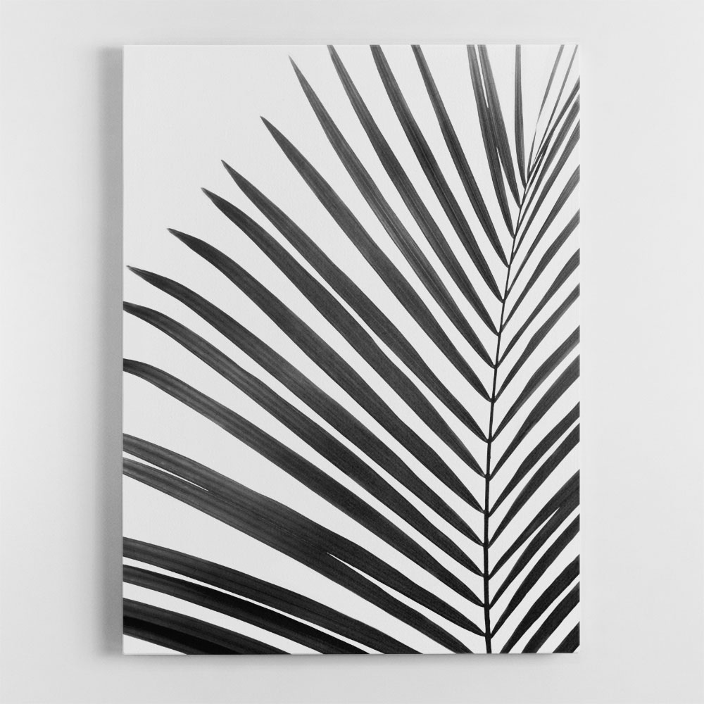 BW Palm Leaf BW Palm Leaf
