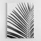 BW Palm Leaf