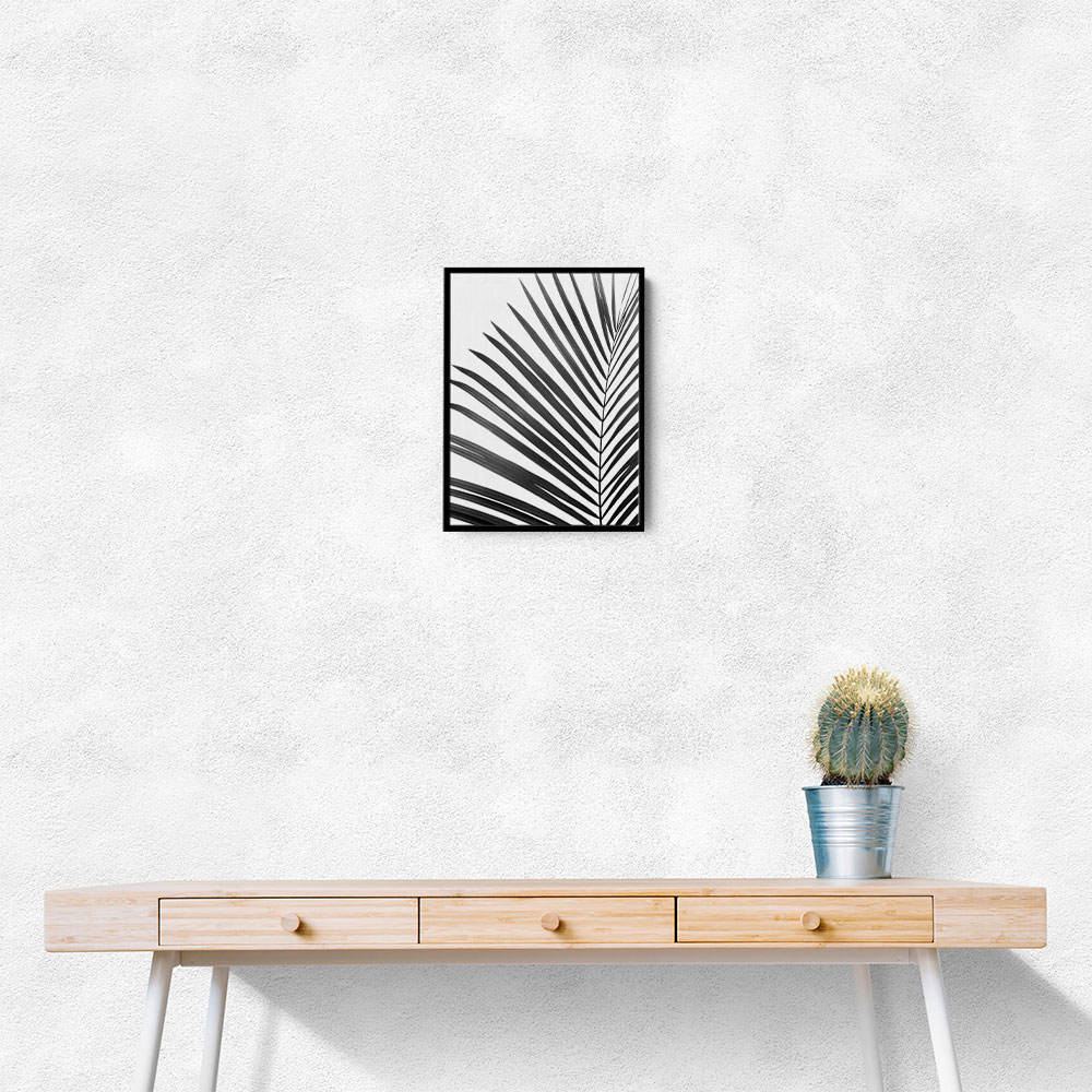 BW Palm Leaf BW Palm Leaf