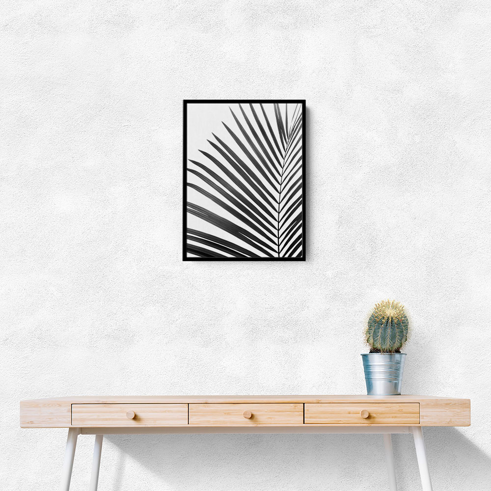 BW Palm Leaf BW Palm Leaf