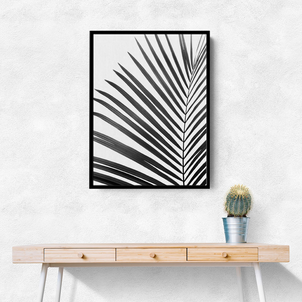 BW Palm Leaf