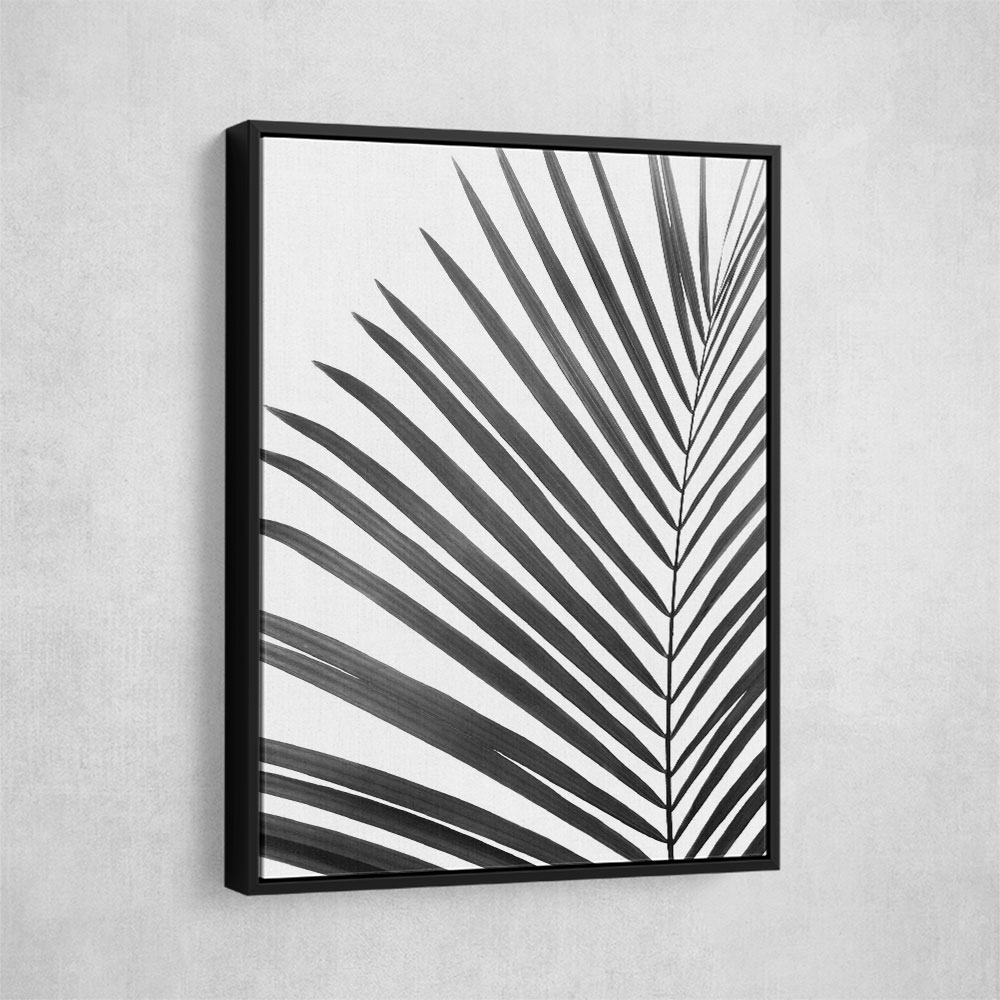 BW Palm Leaf