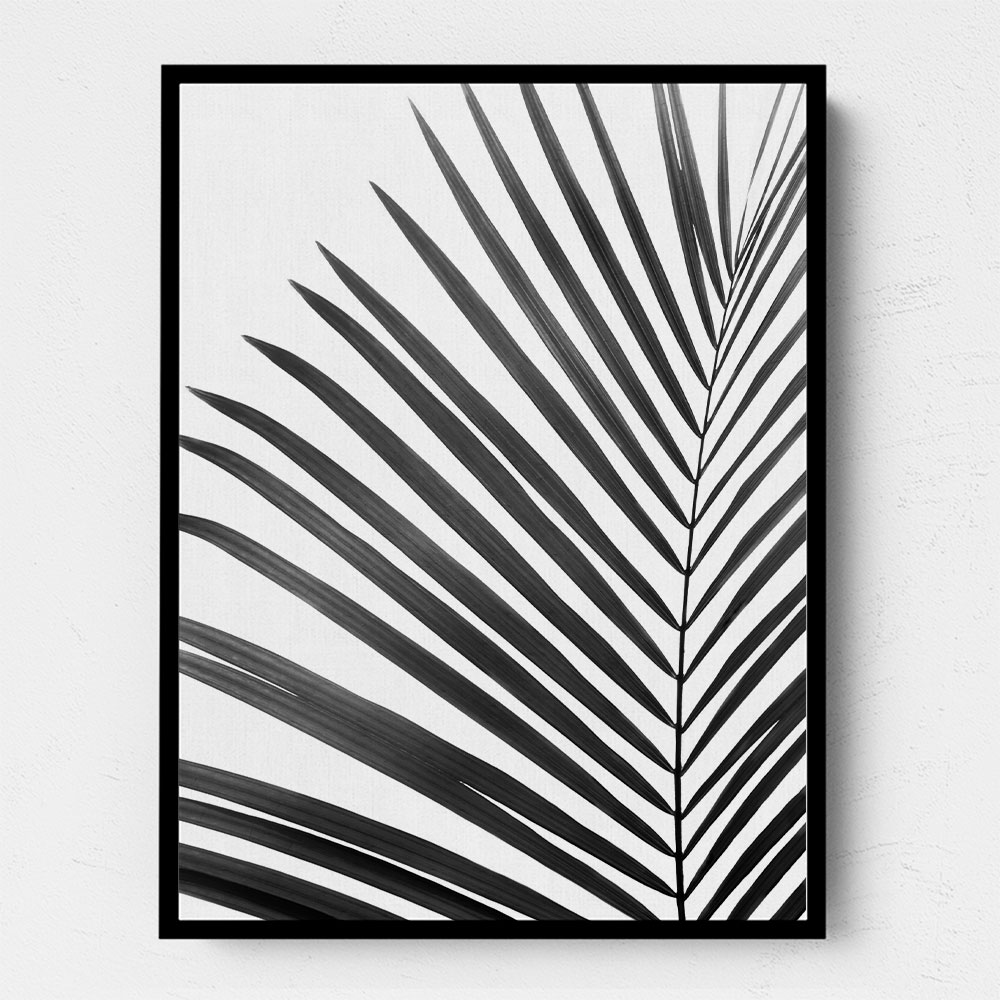 BW Palm Leaf