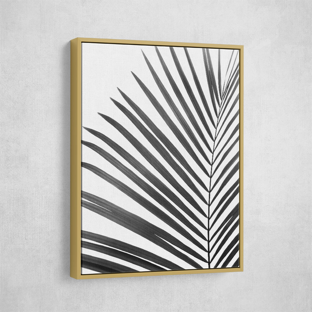 BW Palm Leaf BW Palm Leaf