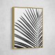BW Palm Leaf BW Palm Leaf