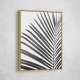 BW Palm Leaf