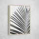 BW Palm Leaf BW Palm Leaf