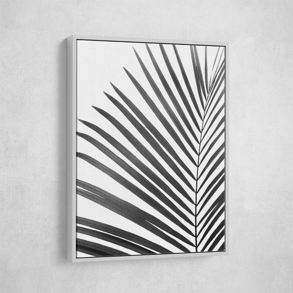 BW Palm Leaf