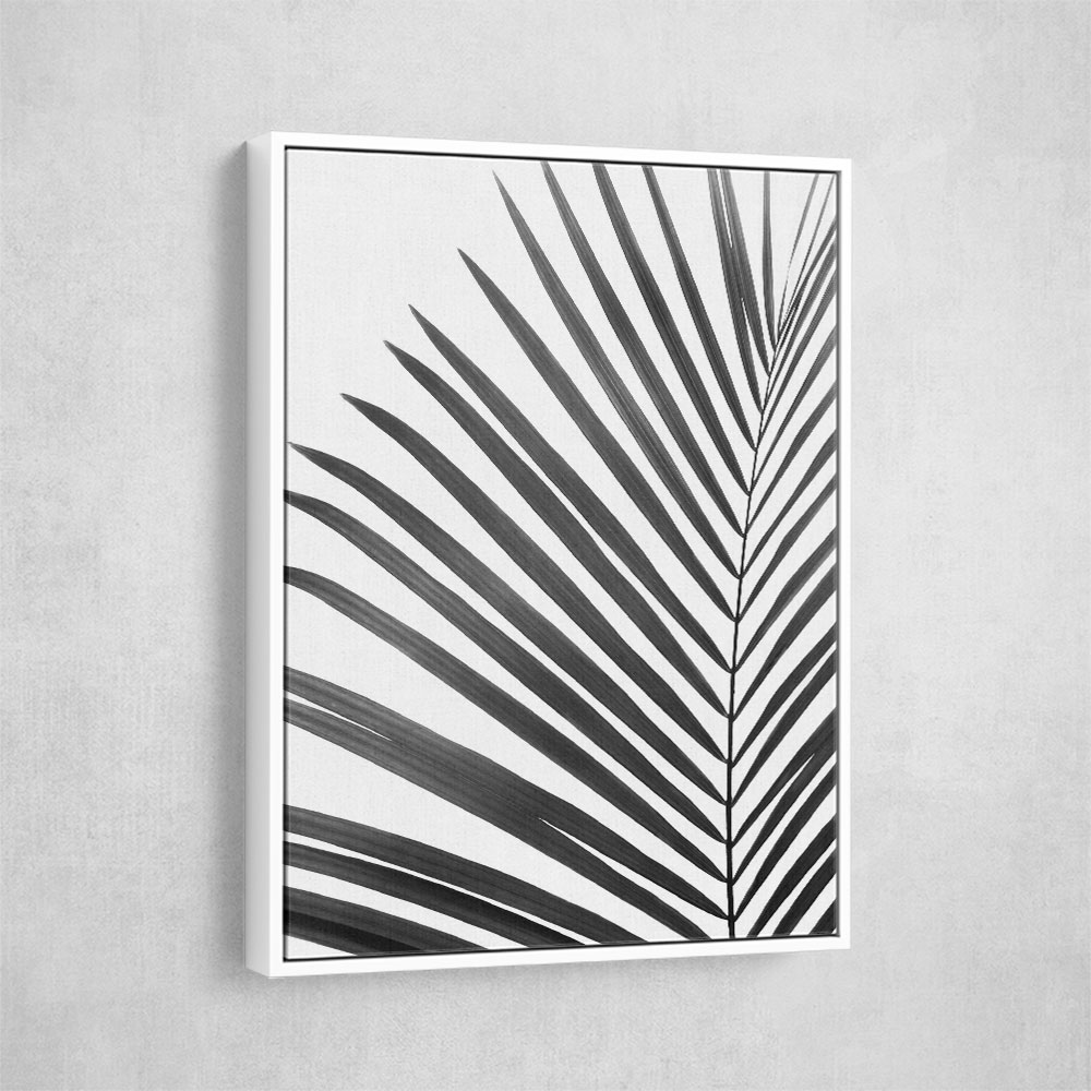 BW Palm Leaf BW Palm Leaf