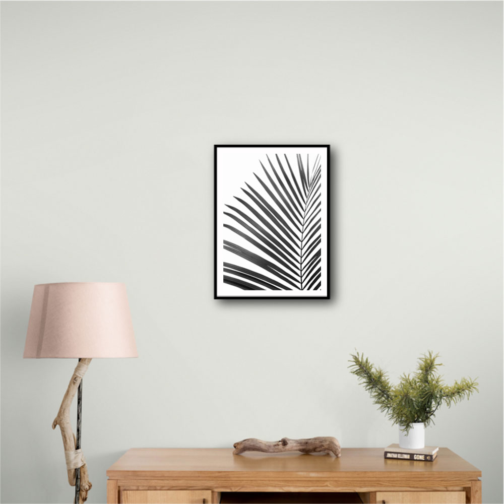 BW Palm Leaf