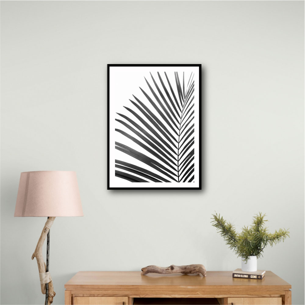 BW Palm Leaf BW Palm Leaf