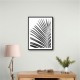 BW Palm Leaf BW Palm Leaf