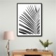 BW Palm Leaf BW Palm Leaf