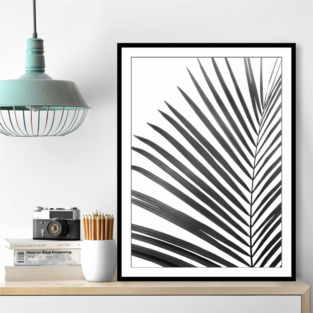 BW Palm Leaf BW Palm Leaf