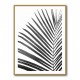 BW Palm Leaf BW Palm Leaf