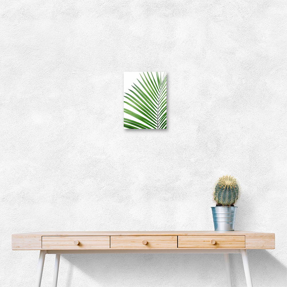 Green Palm Leaf