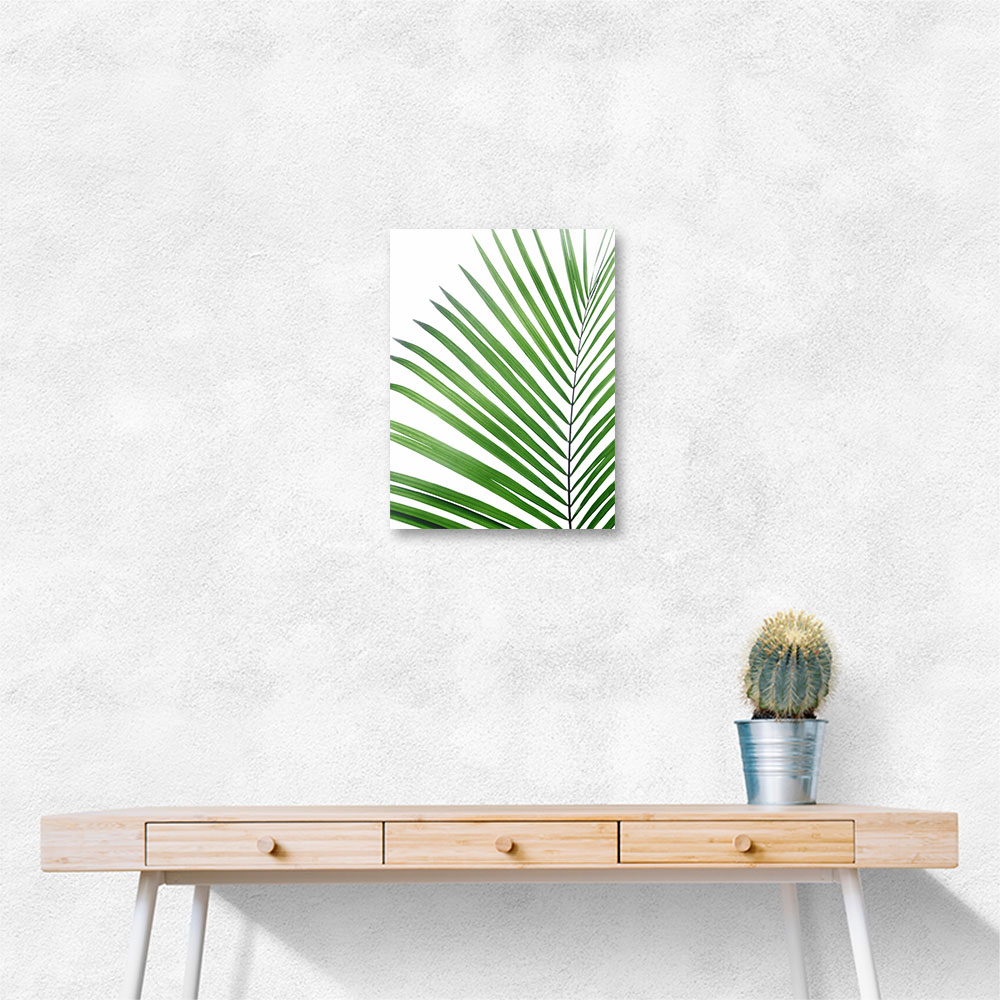 Green Palm Leaf