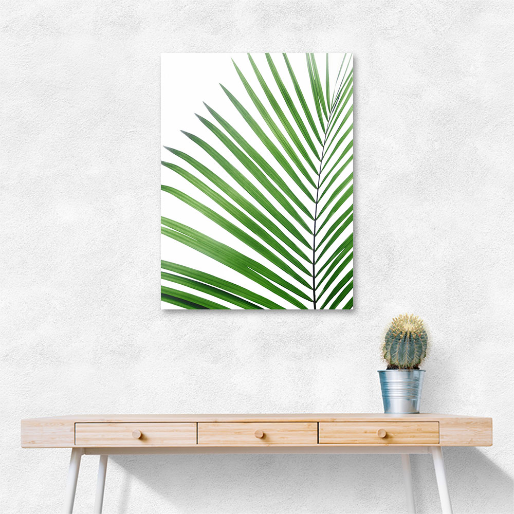 Green Palm Leaf