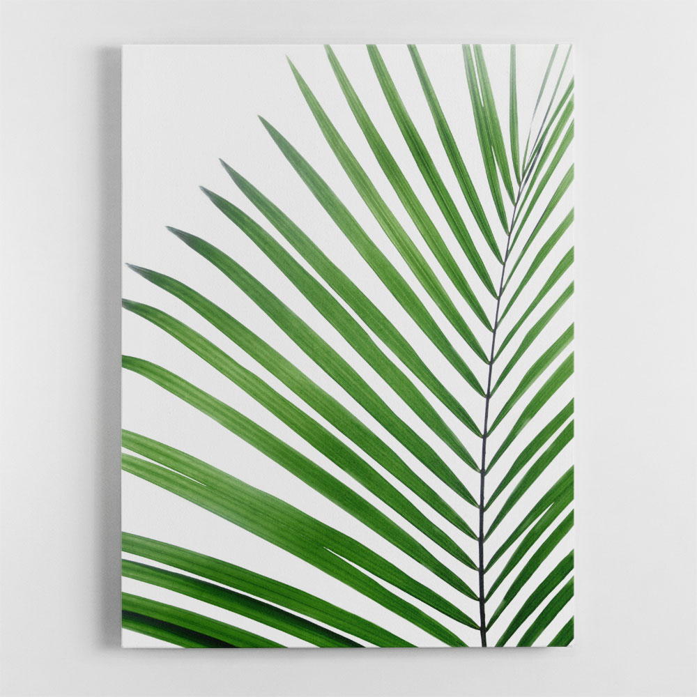 Green Palm Leaf