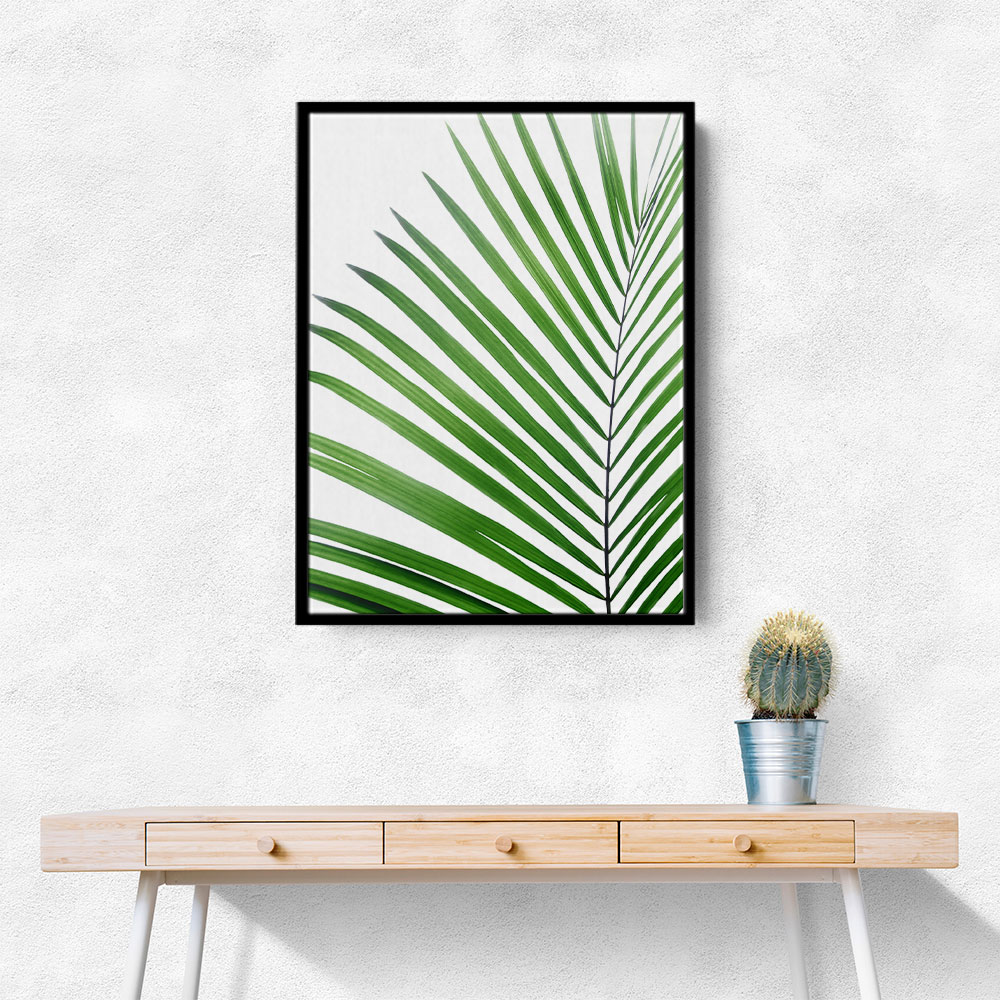 Green Palm Leaf