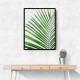 Green Palm Leaf