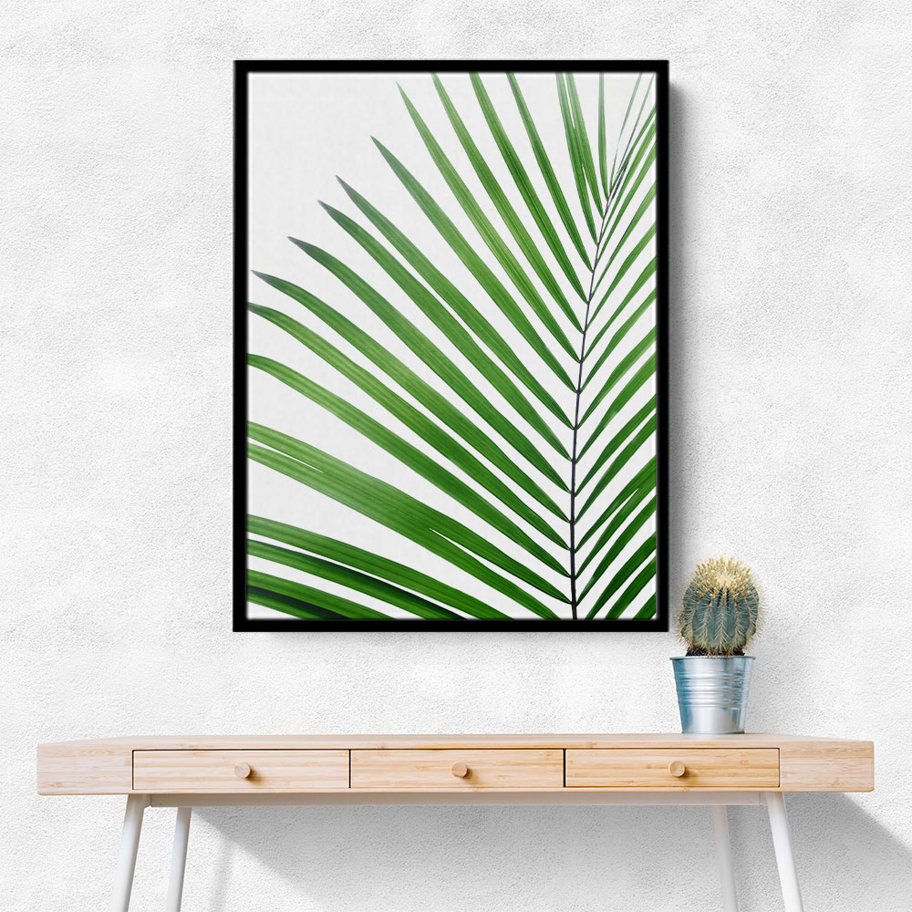 Green Palm Leaf