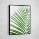 Green Palm Leaf