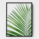 Green Palm Leaf