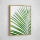 Green Palm Leaf