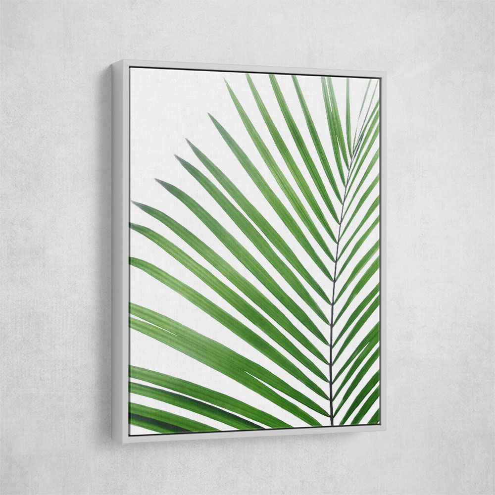 Green Palm Leaf