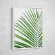 Green Palm Leaf